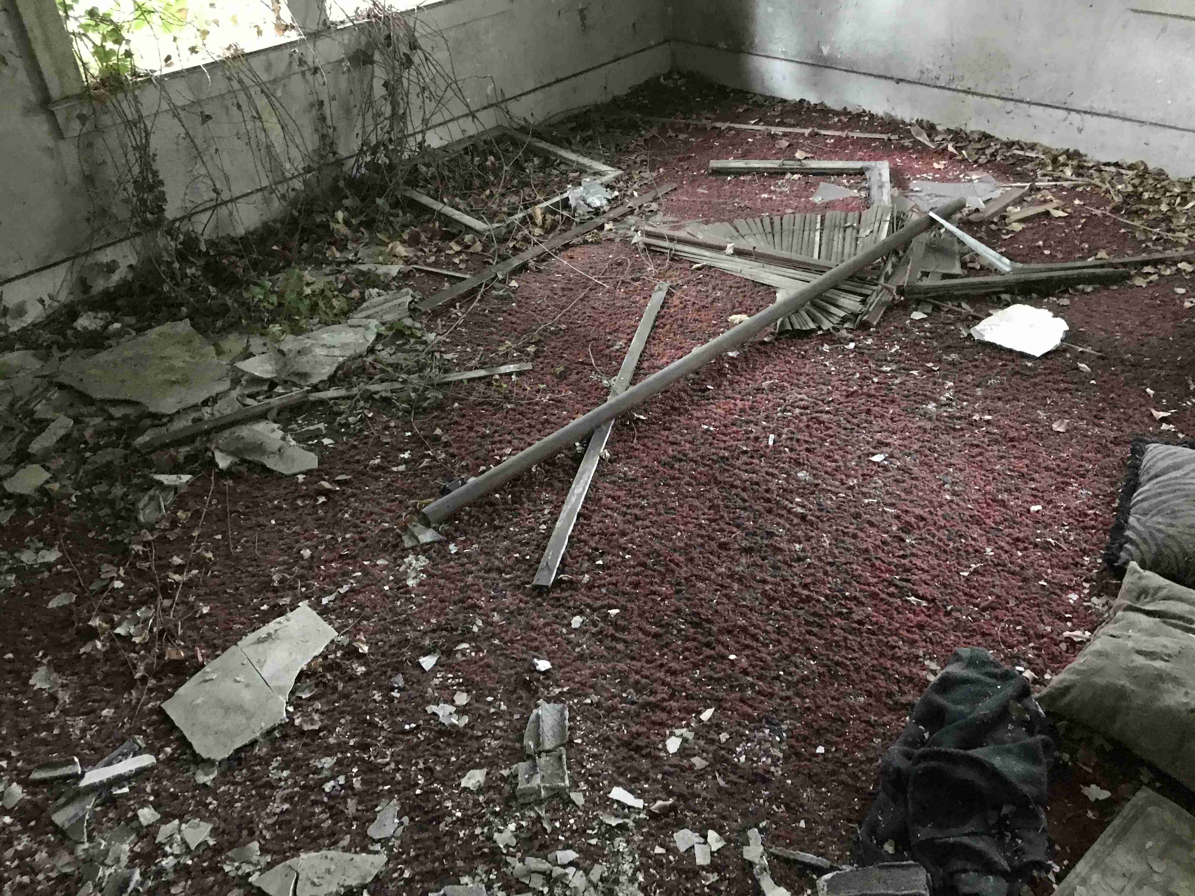 Photo Sep 10, 2 50 58 PM.jpg